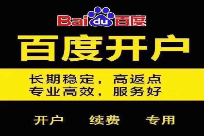 百度竞价入门必看：实操技巧与成功案例