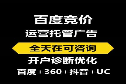 行业内的SEM竞价代运营公司优秀案例剖析